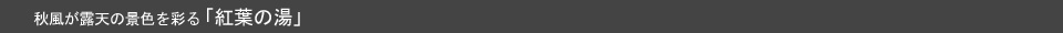 紅葉が景色が露天風呂を彩る「紅葉の湯」